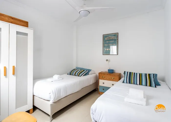 Lavandula By Time 카디스