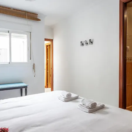 Lavandula By Time Cadix