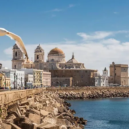 Lavandula By Time Cadix